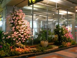 今度はアジアへ|「千花園」　（大阪府大阪市浪速区の花屋）のブログ